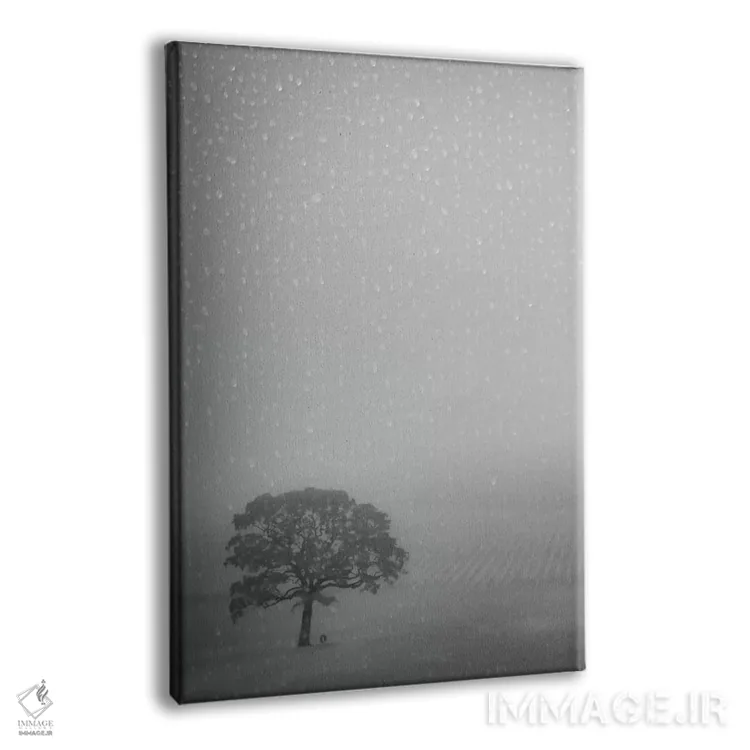 تابلو دکوراتیو بلوط تنها زیر باران اثر دان شوارتز - نمای پرسپکتیو محصول