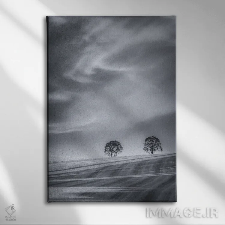 تابلو دکوراتیو دو درخت روی دامنه اثر دان شوارتز - نمای روبهرو روی دیوار