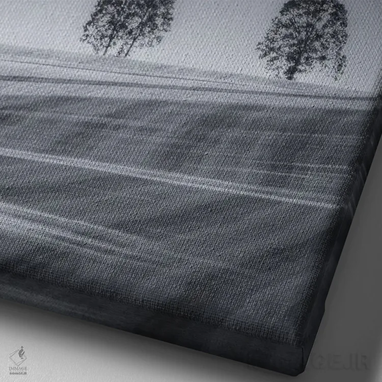 تابلو دکوراتیو دو درخت روی دامنه اثر دان شوارتز - نمای نزدیک بافت بوم