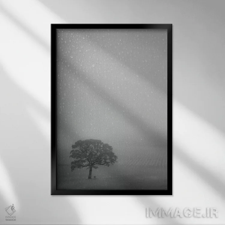 تابلو دکوراتیو بلوط تنها زیر باران اثر دان شوارتز - نمای قابدار مشکی