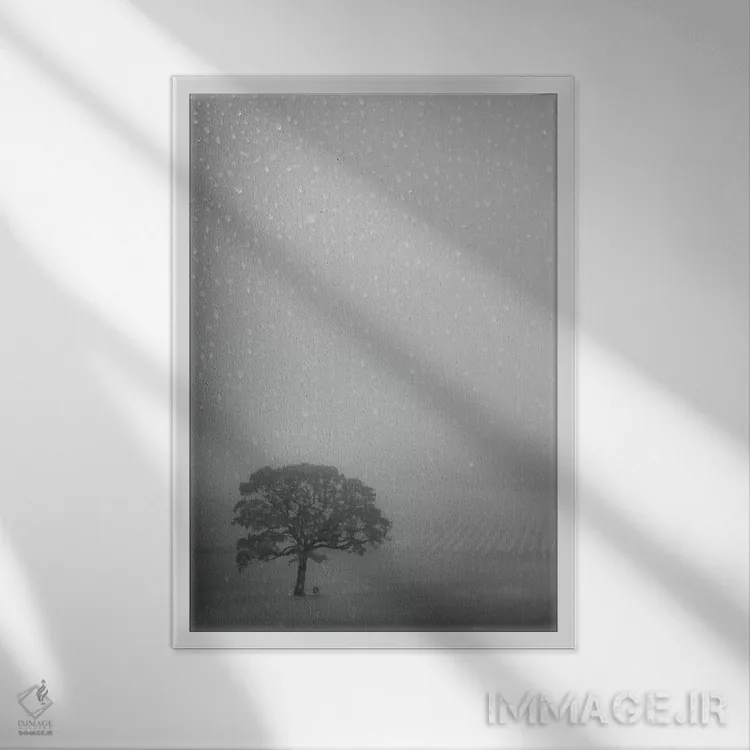 تابلو دکوراتیو بلوط تنها زیر باران اثر دان شوارتز - نمای قابدار سفید