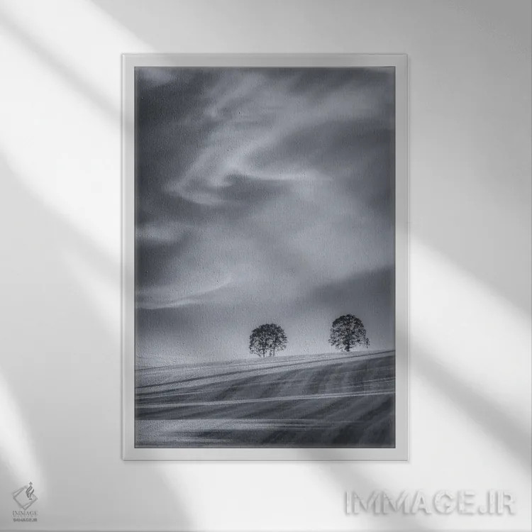 تابلو دکوراتیو دو درخت روی دامنه اثر دان شوارتز - نمای قابدار سفید