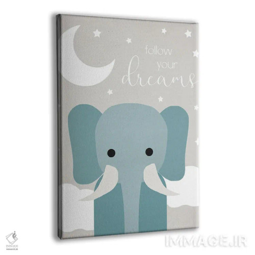 تابلو دکوراتیو فیل رویاها اثر دنیلا سانتیاگو - نمای پرسپکتیو محصول