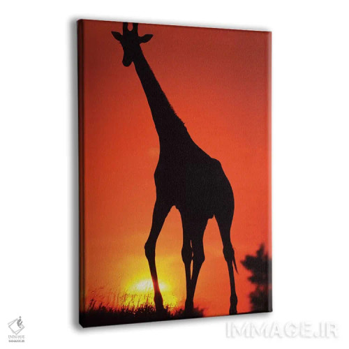 تابلو دکوراتیو سیلوئت زرافه در غروب، آفریقای جنوبی، پارک ملی کروگر اثر دیوید اسلیتر - نمای پرسپکتیو محصول