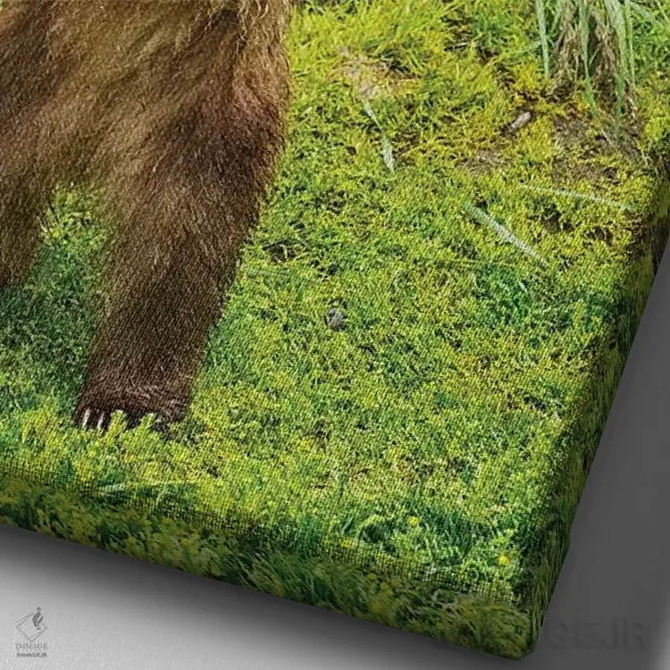 تابلو دکوراتیو توله های خرس قهوه ای ایستاده روی کرانه علفی رود بروکس، پارک… اثر دیزاین پیکس - نمای نزدیک بافت بوم