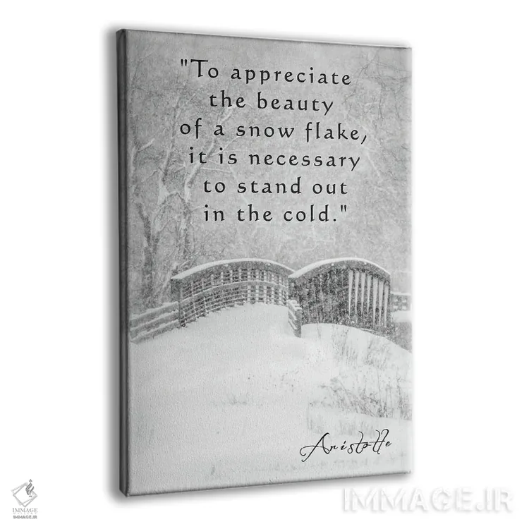 تابلو دکوراتیو جمله ای از ارسطو اثر دن اسپرول - نمای پرسپکتیو محصول