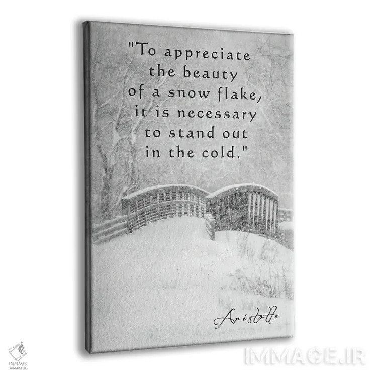 تابلو دکوراتیو جمله ای از ارسطو اثر دن اسپرول - نمای پرسپکتیو محصول