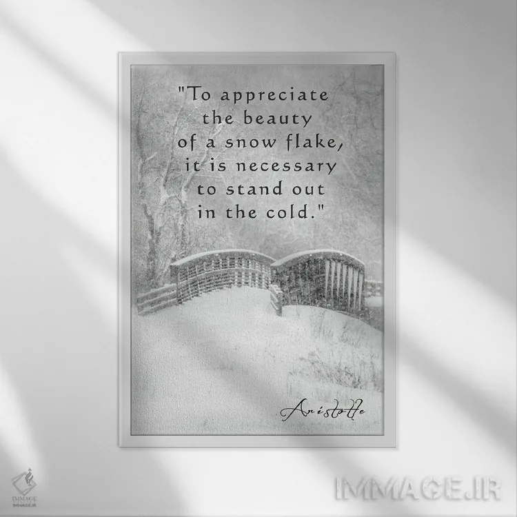 تابلو دکوراتیو جمله ای از ارسطو اثر دن اسپرول - نمای قابدار سفید