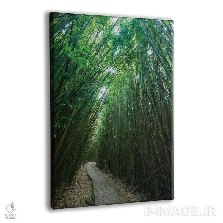 تابلو دکوراتیو دنبالم کن اثر داتلیش - نمای پرسپکتیو محصول