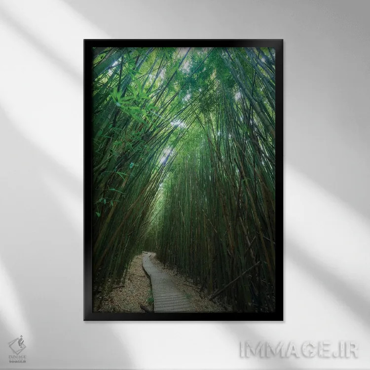 تابلو دکوراتیو دنبالم کن اثر داتلیش - نمای قابدار مشکی