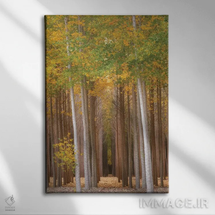 تابلو دکوراتیو درخشش جنگل اثر داتلیش - نمای روبهرو روی دیوار