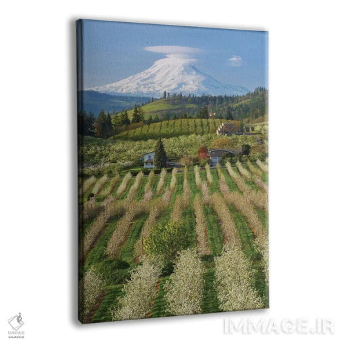 تابلو دکوراتیو باغ شکوفا اثر داتلیش - نمای پرسپکتیو محصول