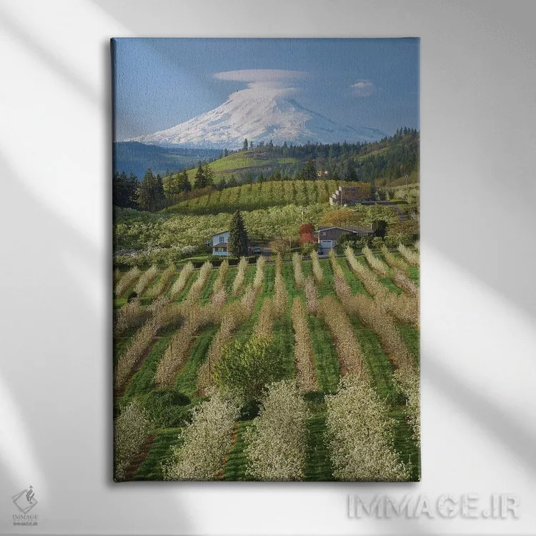 تابلو دکوراتیو باغ شکوفا اثر داتلیش - نمای روبهرو روی دیوار