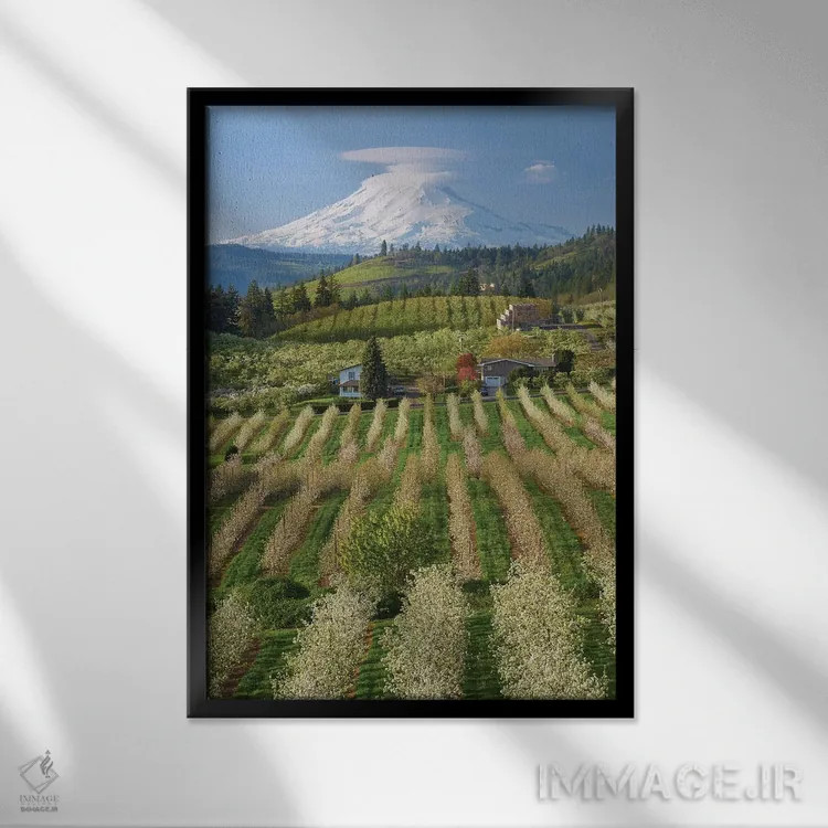 تابلو دکوراتیو باغ شکوفا اثر داتلیش - نمای قابدار مشکی