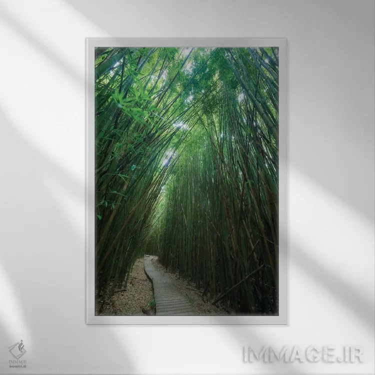 تابلو دکوراتیو دنبالم کن اثر داتلیش - نمای قابدار سفید