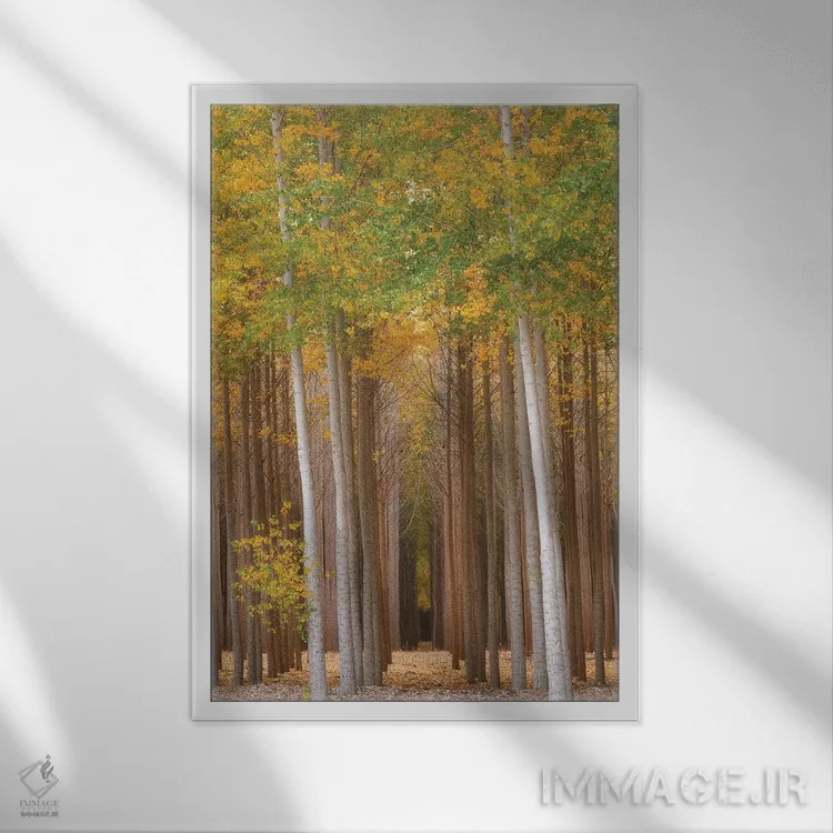 تابلو دکوراتیو درخشش جنگل اثر داتلیش - نمای قابدار سفید