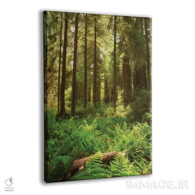 تابلو دکوراتیو افتادگان اثر داتلیش - نمای پرسپکتیو محصول