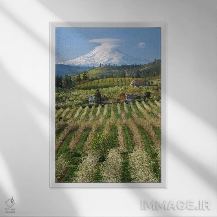 تابلو دکوراتیو باغ شکوفا اثر داتلیش - نمای قابدار سفید