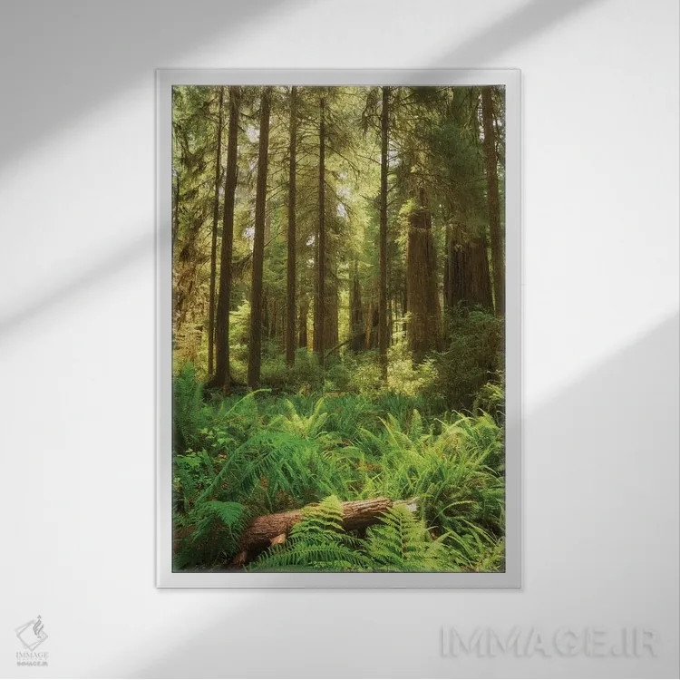 تابلو دکوراتیو افتادگان اثر داتلیش - نمای قابدار سفید