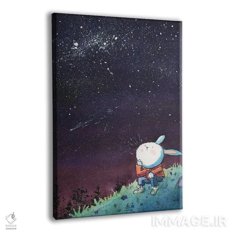 تابلو دکوراتیو خرگوش در شب پرستاره اثر دن تاویس - نمای پرسپکتیو محصول
