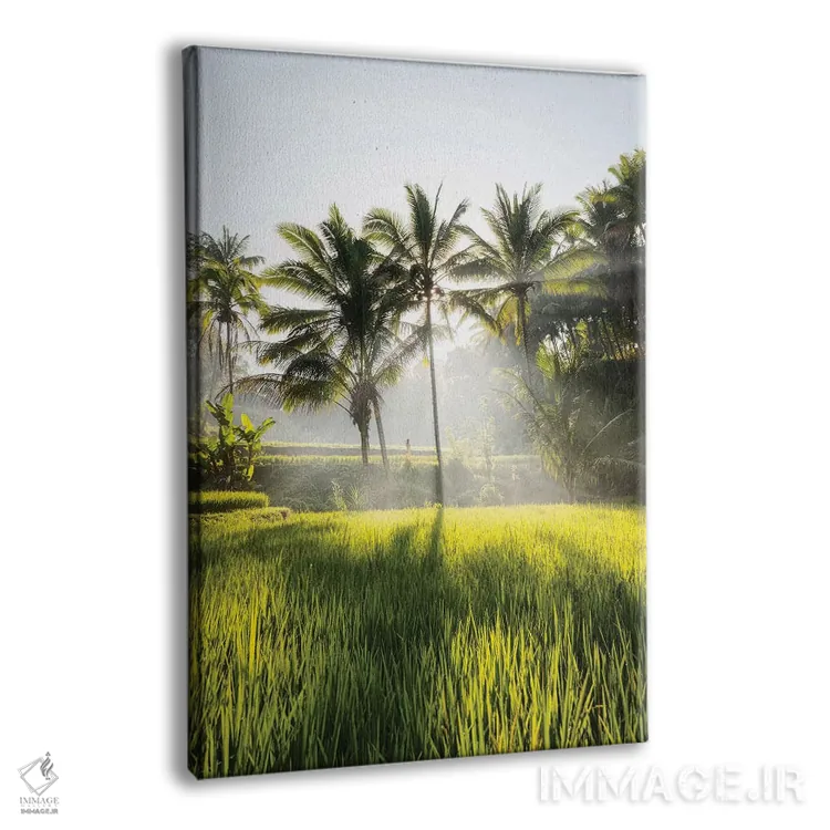 تابلو دکوراتیو بالی دو اثر دایسوکه اوئه ماتسو - نمای پرسپکتیو محصول