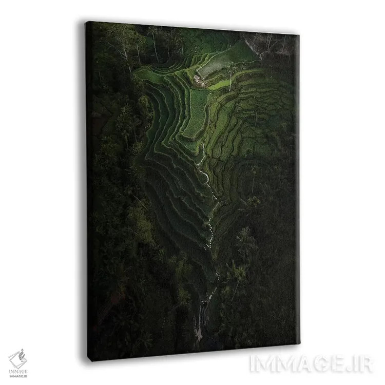 تابلو دکوراتیو بالی چهار اثر دایسوکه اوئه ماتسو - نمای پرسپکتیو محصول