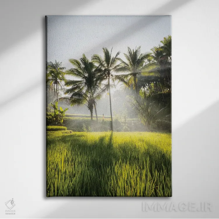 تابلو دکوراتیو بالی دو اثر دایسوکه اوئه ماتسو - نمای روبهرو روی دیوار