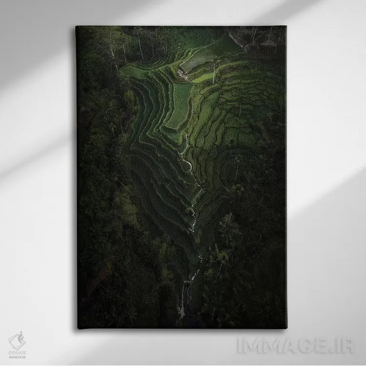 تابلو دکوراتیو بالی چهار اثر دایسوکه اوئه ماتسو - نمای روبهرو روی دیوار