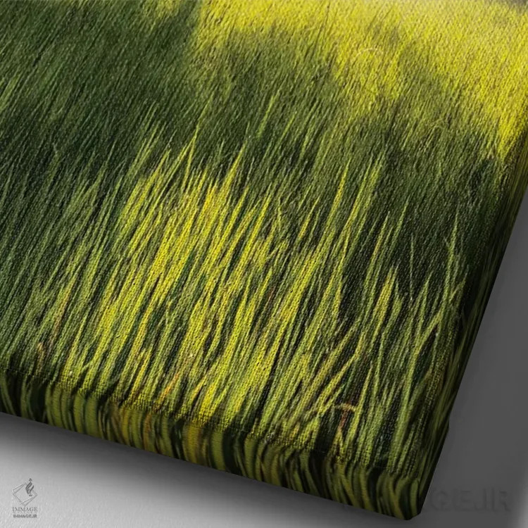 تابلو دکوراتیو بالی دو اثر دایسوکه اوئه ماتسو - نمای نزدیک بافت بوم