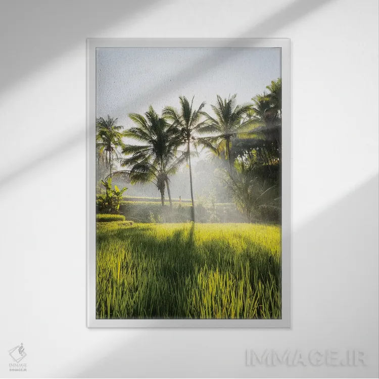 تابلو دکوراتیو بالی دو اثر دایسوکه اوئه ماتسو - نمای قابدار سفید