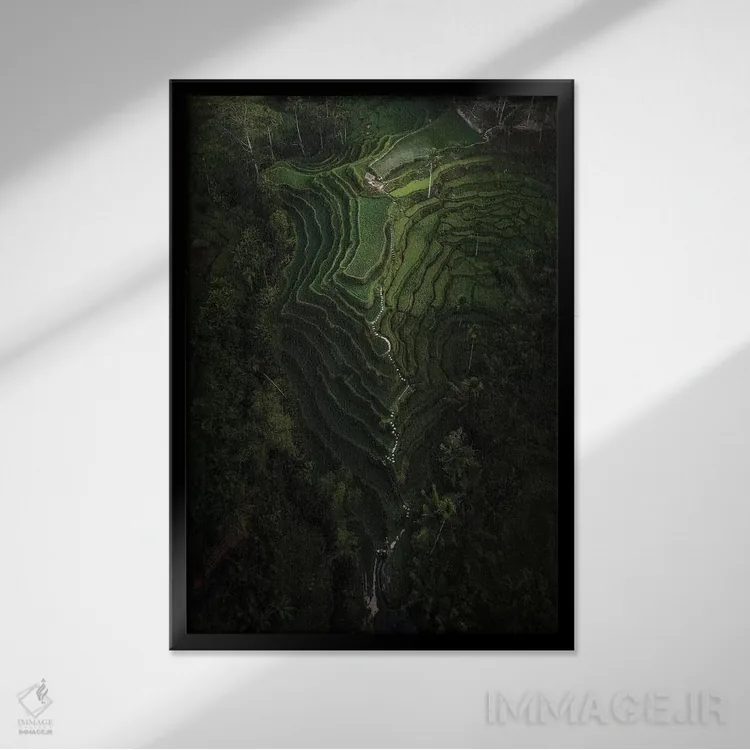 تابلو دکوراتیو بالی چهار اثر دایسوکه اوئه ماتسو - نمای قابدار مشکی