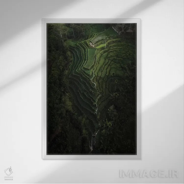 تابلو دکوراتیو بالی چهار اثر دایسوکه اوئه ماتسو - نمای قابدار سفید