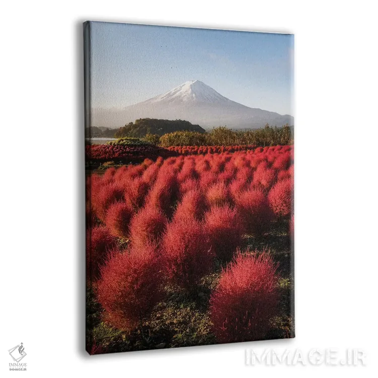 تابلو دکوراتیو کوه فوجی هفدهم اثر دایسوکه اوئه ماتسو - نمای پرسپکتیو محصول