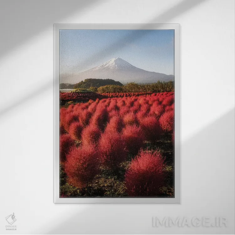 تابلو دکوراتیو کوه فوجی هفدهم اثر دایسوکه اوئه ماتسو - نمای قابدار سفید