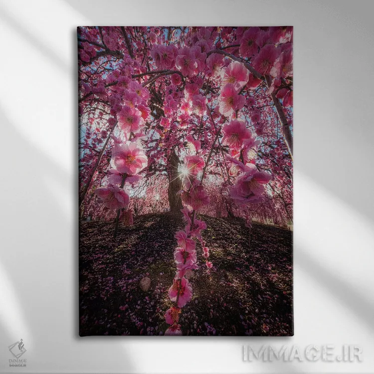 تابلو دکوراتیو بهار در ژاپن بیست و پنجم اثر دایسوکه اوئه ماتسو - نمای روبهرو روی دیوار