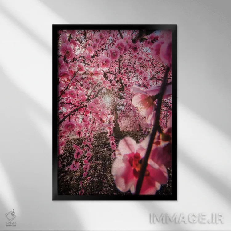 تابلو دکوراتیو بهار در ژاپن بیست و چهارم اثر دایسوکه اوئه ماتسو - نمای قابدار مشکی