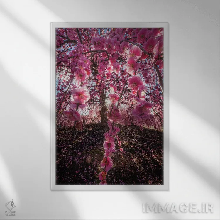 تابلو دکوراتیو بهار در ژاپن بیست و پنجم اثر دایسوکه اوئه ماتسو - نمای قابدار سفید