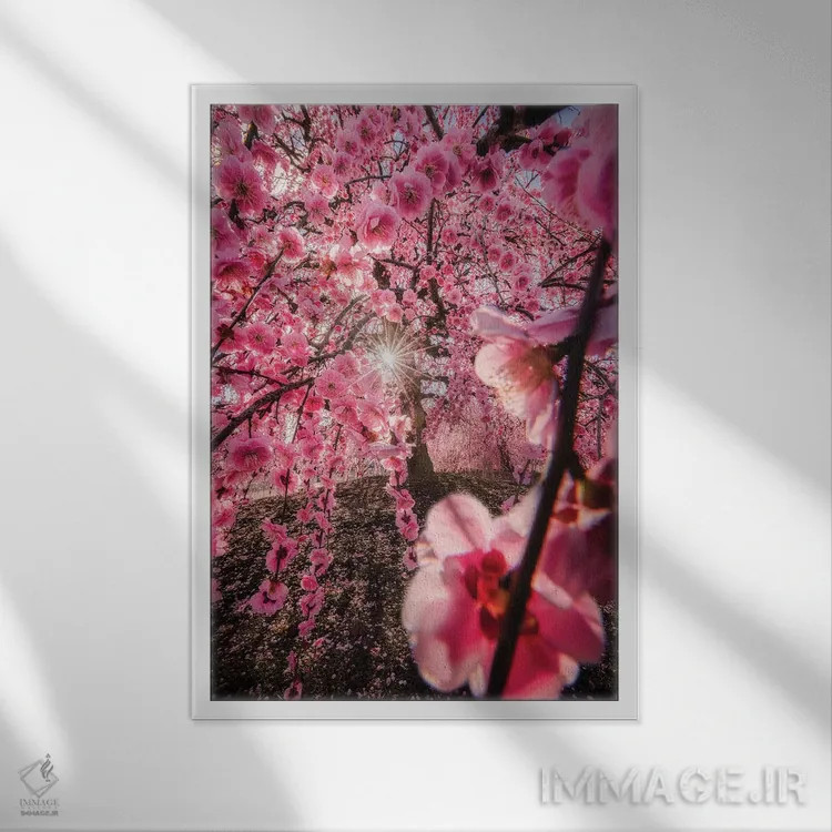 تابلو دکوراتیو بهار در ژاپن بیست و چهارم اثر دایسوکه اوئه ماتسو - نمای قابدار سفید