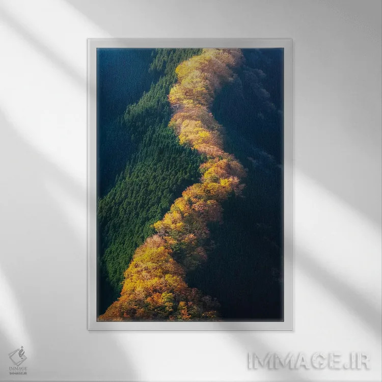 تابلو دکوراتیو پاییز در ژاپن چهارده اثر دایسوکه اوئه ماتسو - نمای قابدار سفید