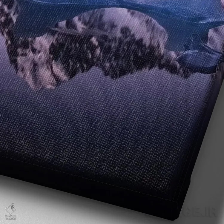 تابلو دکوراتیو دریاچه یخچال هوکر، نیوزیلند اثر دایسوکه اوئه ماتسو - نمای نزدیک بافت بوم