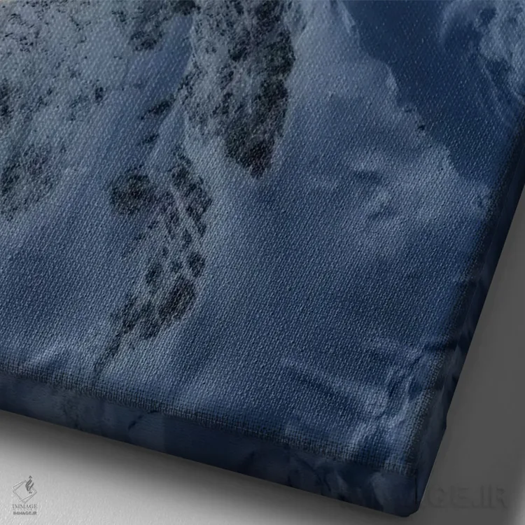 تابلو دکوراتیو آلپ جنوبی، نیوزیلند اثر دایسوکه اوئه ماتسو - نمای نزدیک بافت بوم