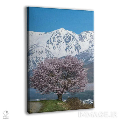 تابلو دکوراتیو بهار در ژاپن چهار اثر دایسوکه اوئه ماتسو - نمای پرسپکتیو محصول