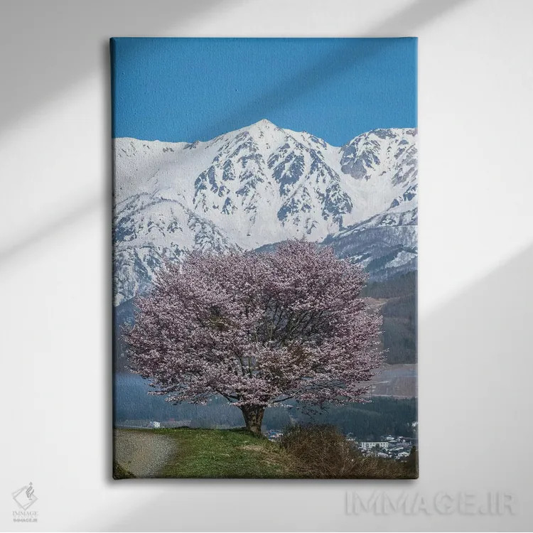 تابلو دکوراتیو بهار در ژاپن چهار اثر دایسوکه اوئه ماتسو - نمای روبهرو روی دیوار