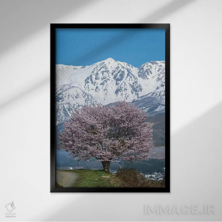 تابلو دکوراتیو بهار در ژاپن چهار اثر دایسوکه اوئه ماتسو - نمای قابدار مشکی