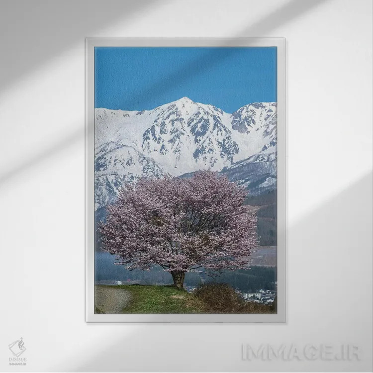 تابلو دکوراتیو بهار در ژاپن چهار اثر دایسوکه اوئه ماتسو - نمای قابدار سفید