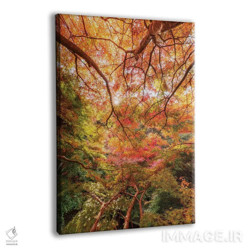 تابلو دکوراتیو پاییز در ژاپن شش اثر دایسوکه اوئه ماتسو - نمای پرسپکتیو محصول