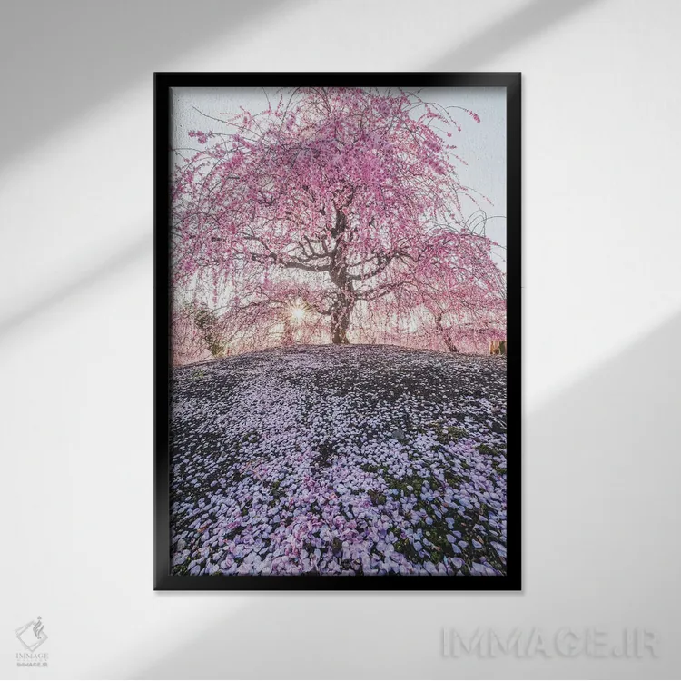 تابلو دکوراتیو بهار در ژاپن نه اثر دایسوکه اوئه ماتسو - نمای قابدار مشکی