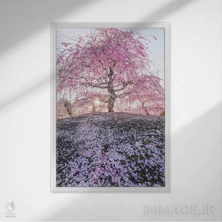 تابلو دکوراتیو بهار در ژاپن نه اثر دایسوکه اوئه ماتسو - نمای قابدار سفید
