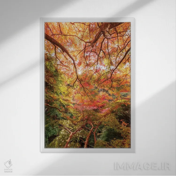 تابلو دکوراتیو پاییز در ژاپن شش اثر دایسوکه اوئه ماتسو - نمای قابدار سفید