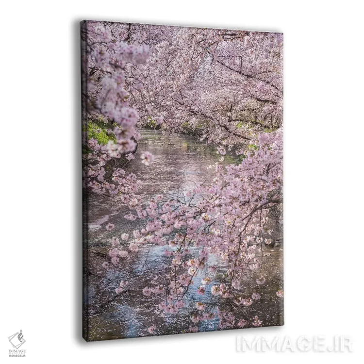 تابلو دکوراتیو بهار در ژاپن پانزده اثر دایسوکه اوئه ماتسو - نمای پرسپکتیو محصول